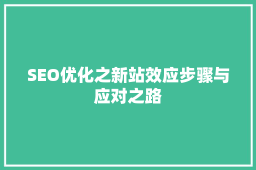SEO优化之新站效应步骤与应对之路  第1张