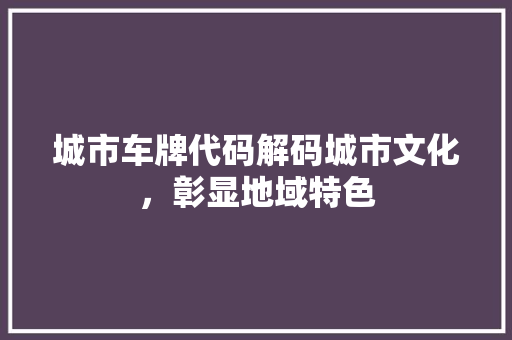 城市车牌代码解码城市文化，彰显地域特色