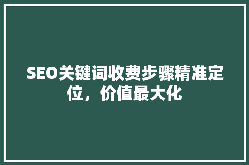 SEO关键词收费步骤精准定位，价值最大化  第1张