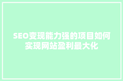 SEO变现能力强的项目如何实现网站盈利最大化