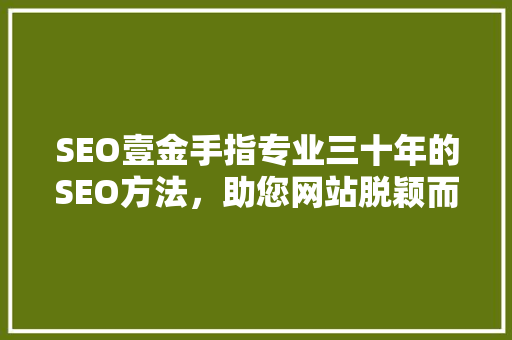 SEO壹金手指专业三十年的SEO方法，助您网站脱颖而出