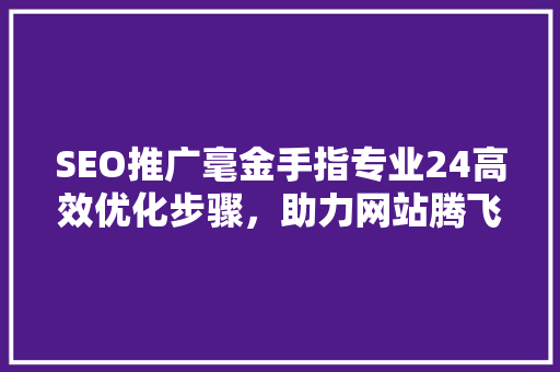 SEO推广毫金手指专业24高效优化步骤，助力网站腾飞