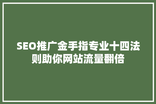 SEO推广金手指专业十四法则助你网站流量翻倍