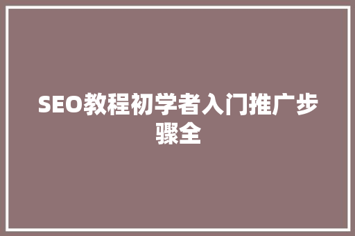 SEO教程初学者入门推广步骤全