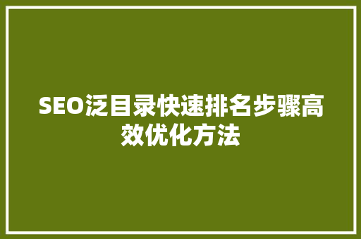 SEO泛目录快速排名步骤高效优化方法