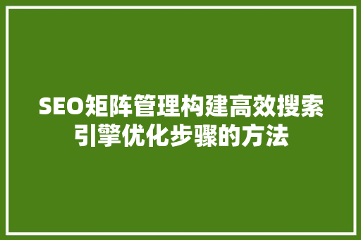 SEO矩阵管理构建高效搜索引擎优化步骤的方法