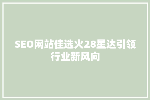 SEO网站佳选火28星达引领行业新风向