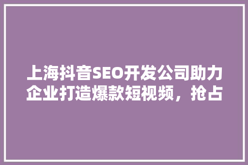 上海抖音SEO开发公司助力企业打造爆款短视频，抢占流量高地