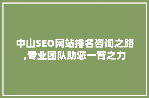 中山SEO网站排名咨询之路,专业团队助您一臂之力