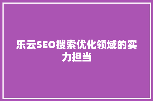 乐云SEO搜索优化领域的实力担当