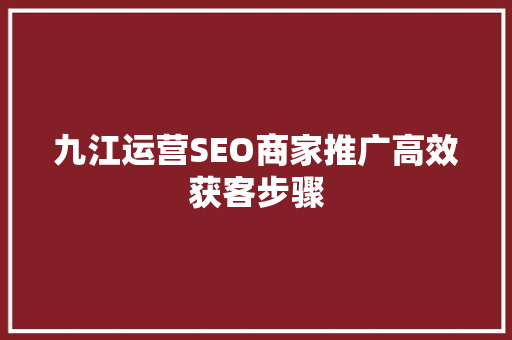 九江运营SEO商家推广高效获客步骤