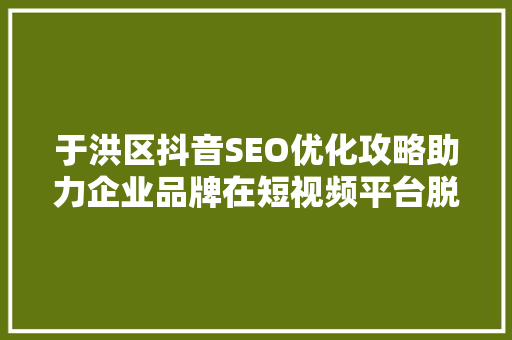 于洪区抖音SEO优化攻略助力企业品牌在短视频平台脱颖而出  第1张