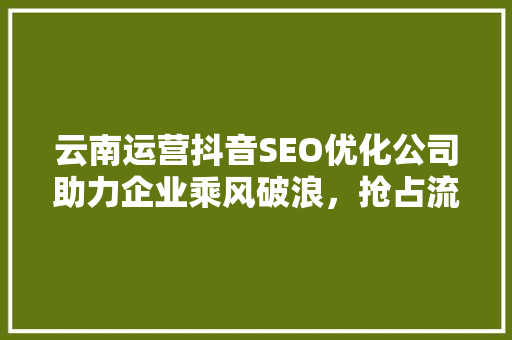 云南运营抖音SEO优化公司助力企业乘风破浪，抢占流量红利