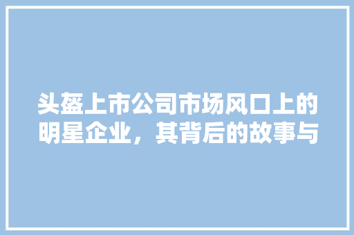 头盔上市公司市场风口上的明星企业，其背后的故事与未来