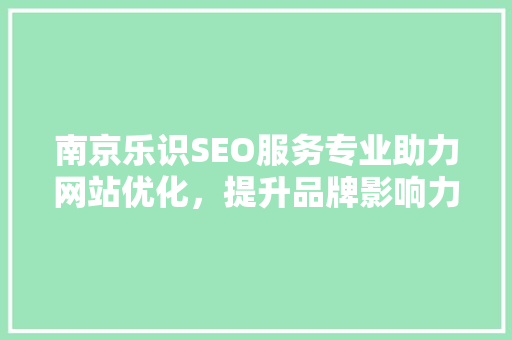 南京乐识SEO服务专业助力网站优化，提升品牌影响力
