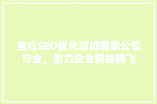 宝应SEO优化领域哪家公司专业，助力企业网络腾飞