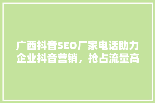 广西抖音SEO厂家电话助力企业抖音营销，抢占流量高地