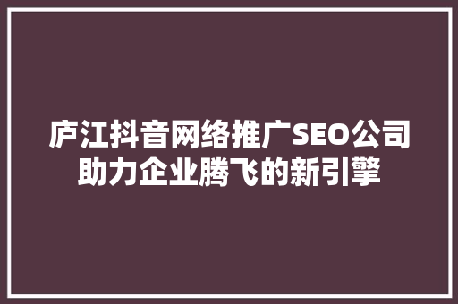 庐江抖音网络推广SEO公司助力企业腾飞的新引擎