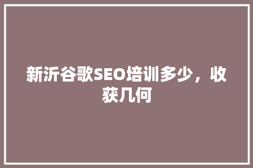新沂谷歌SEO培训多少，收获几何
