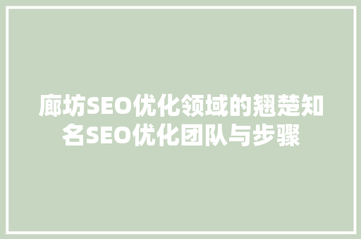 廊坊SEO优化领域的翘楚知名SEO优化团队与步骤