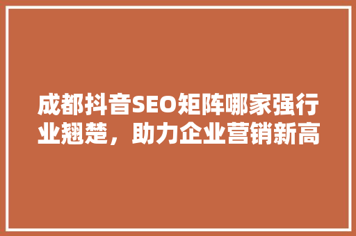 成都抖音SEO矩阵哪家强行业翘楚，助力企业营销新高度