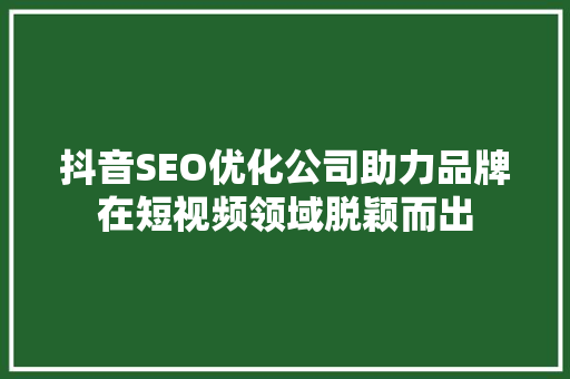 抖音SEO优化公司助力品牌在短视频领域脱颖而出