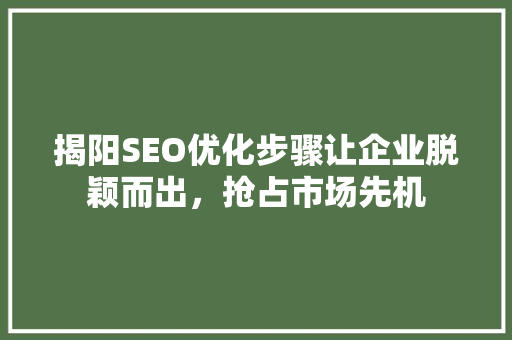 揭阳SEO优化步骤让企业脱颖而出，抢占市场先机