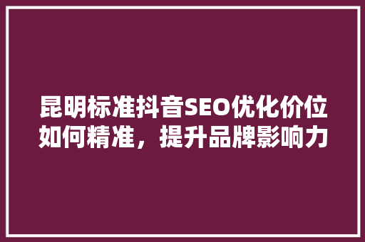 昆明标准抖音SEO优化价位如何精准，提升品牌影响力