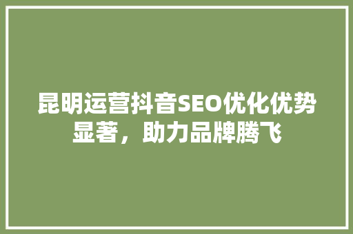 昆明运营抖音SEO优化优势显著，助力品牌腾飞