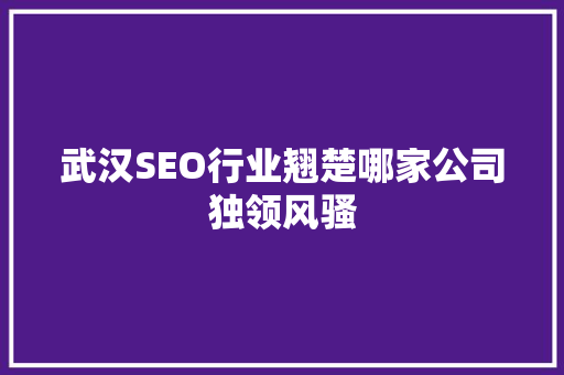 武汉SEO行业翘楚哪家公司独领风骚