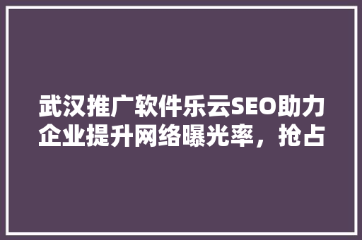 武汉推广软件乐云SEO助力企业提升网络曝光率，抢占市场先机