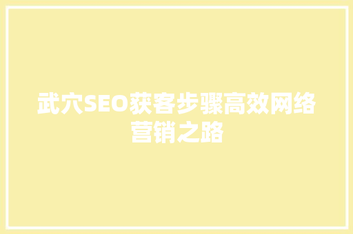 武穴SEO获客步骤高效网络营销之路