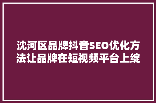 沈河区品牌抖音SEO优化方法让品牌在短视频平台上绽放光彩