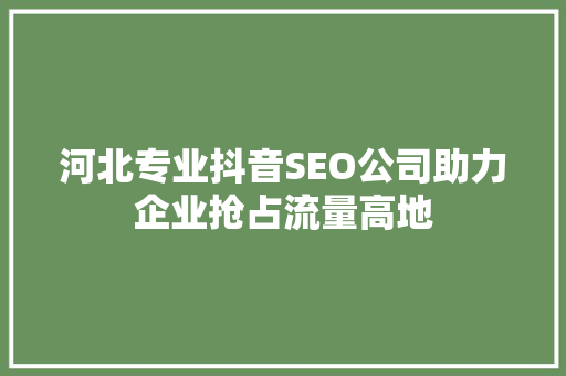河北专业抖音SEO公司助力企业抢占流量高地