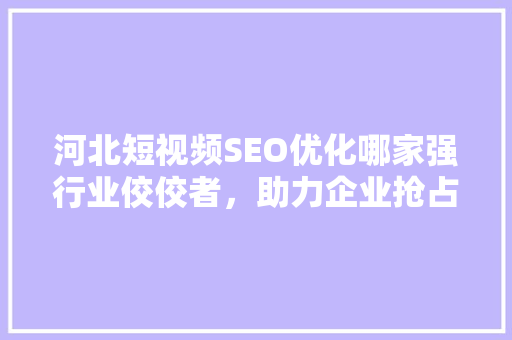 河北短视频SEO优化哪家强行业佼佼者，助力企业抢占流量高地