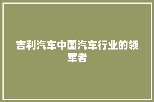 吉利汽车中国汽车行业的领军者