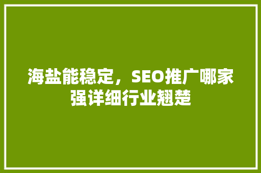 海盐能稳定，SEO推广哪家强详细行业翘楚