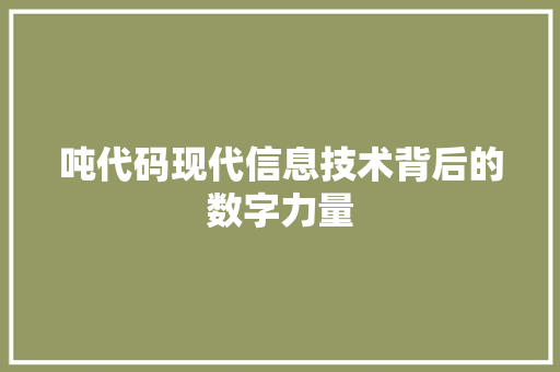 吨代码现代信息技术背后的数字力量