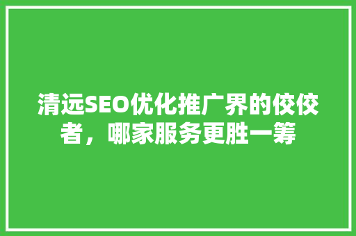 清远SEO优化推广界的佼佼者，哪家服务更胜一筹