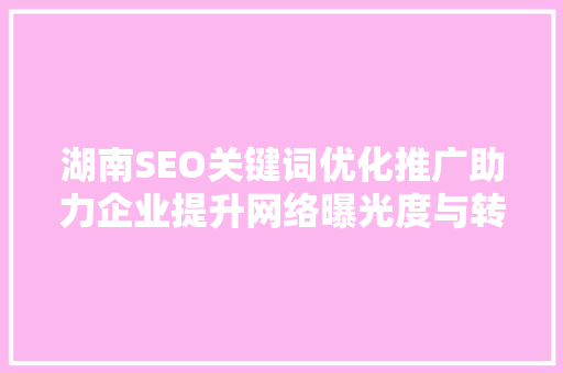 湖南SEO关键词优化推广助力企业提升网络曝光度与转化率