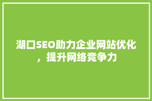 湖口SEO助力企业网站优化，提升网络竞争力