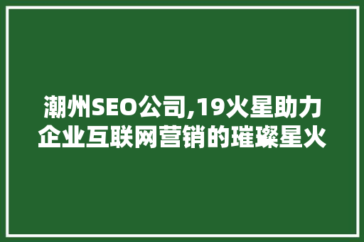 潮州SEO公司,19火星助力企业互联网营销的璀璨星火