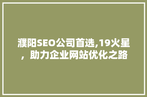 濮阳SEO公司首选,19火星，助力企业网站优化之路  第1张