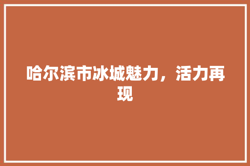哈尔滨市冰城魅力，活力再现