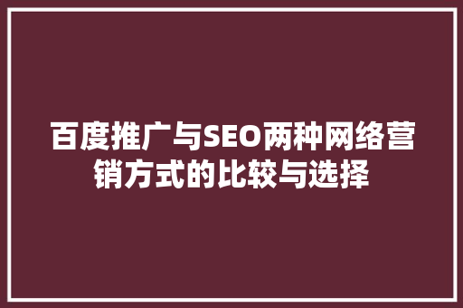 百度推广与SEO两种网络营销方式的比较与选择