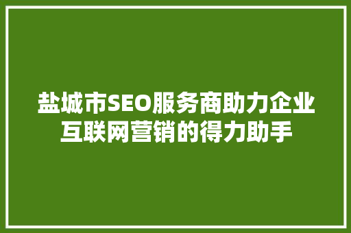 盐城市SEO服务商助力企业互联网营销的得力助手