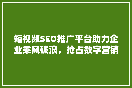 短视频SEO推广平台助力企业乘风破浪，抢占数字营销新高地