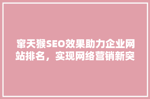 窜天猴SEO效果助力企业网站排名，实现网络营销新突破