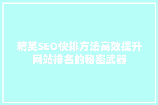 精英SEO快排方法高效提升网站排名的秘密武器
