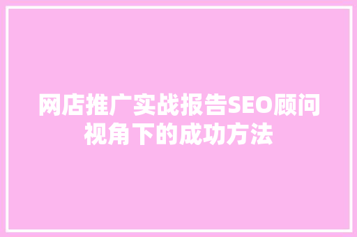 网店推广实战报告SEO顾问视角下的成功方法